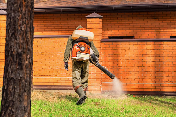 Trusted Cockroach Control service in Moody, TX - Nex Pest Control